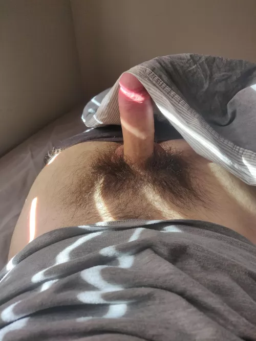 My hairy cock by 22andChubby