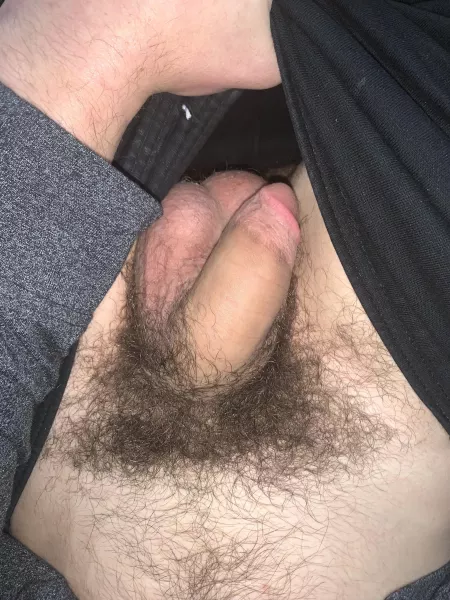 My hairy cock by Short_Oil