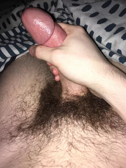 My hairy cock by dr_yesman