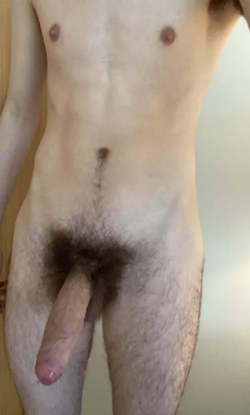My hairy cock by shwof