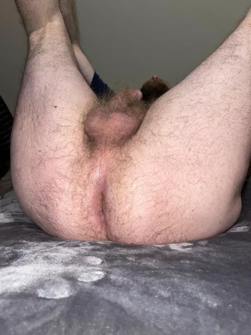 My hairy hole by Impressive_Strike_88