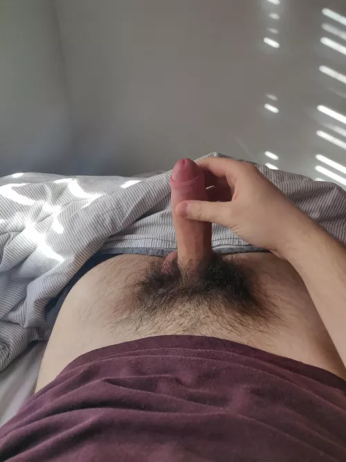 My hairy package by -HiBi-