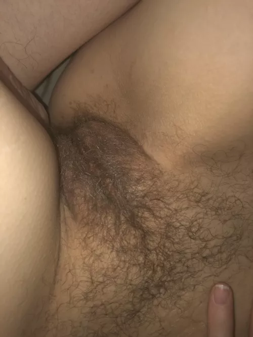 My hairy pussy by Kilterny