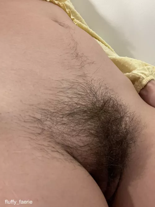 My hairy pussy is super soft... by fluffy_faerie