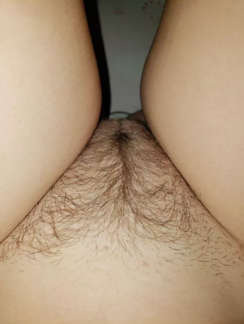 My hairy sweet pussy👅 by kitty_sluthole