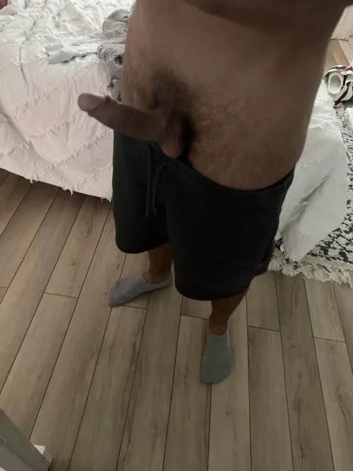 My hard cock makes me feel amazing 😋🥰 by Famous_Priority6620