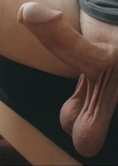 My heavy hangers by Sudden-Performer9941