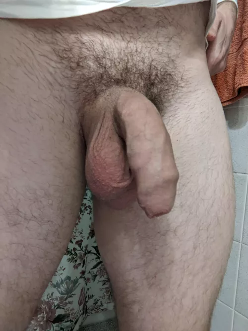 My humble flaccid by JOBudz-6ix