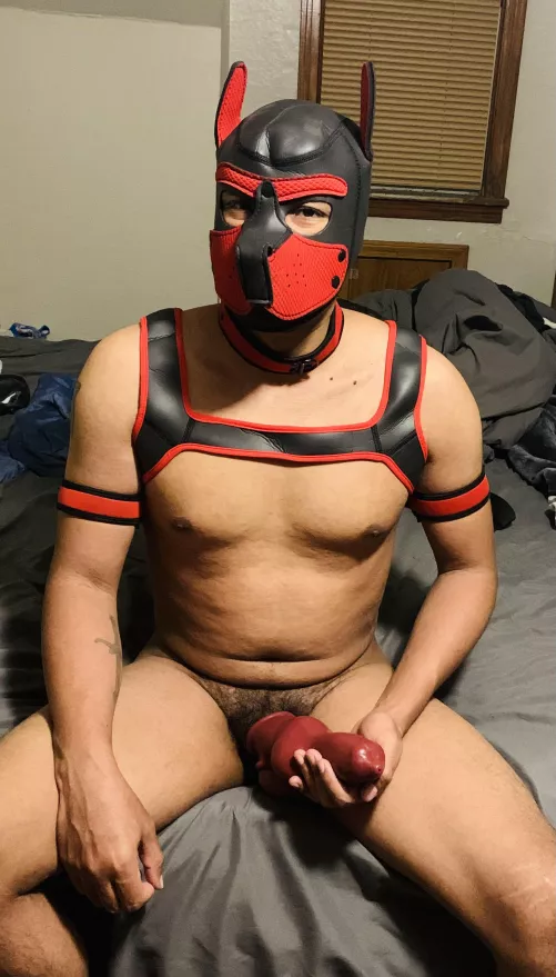 My husband by pac61983