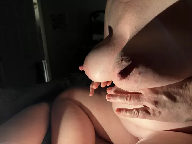 My kitty enjoys some harsh lighting after our play time. by icthus_medicus