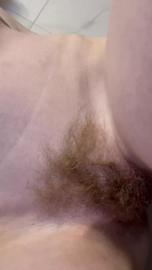 My little lions mane 🥺 by bb_apathy