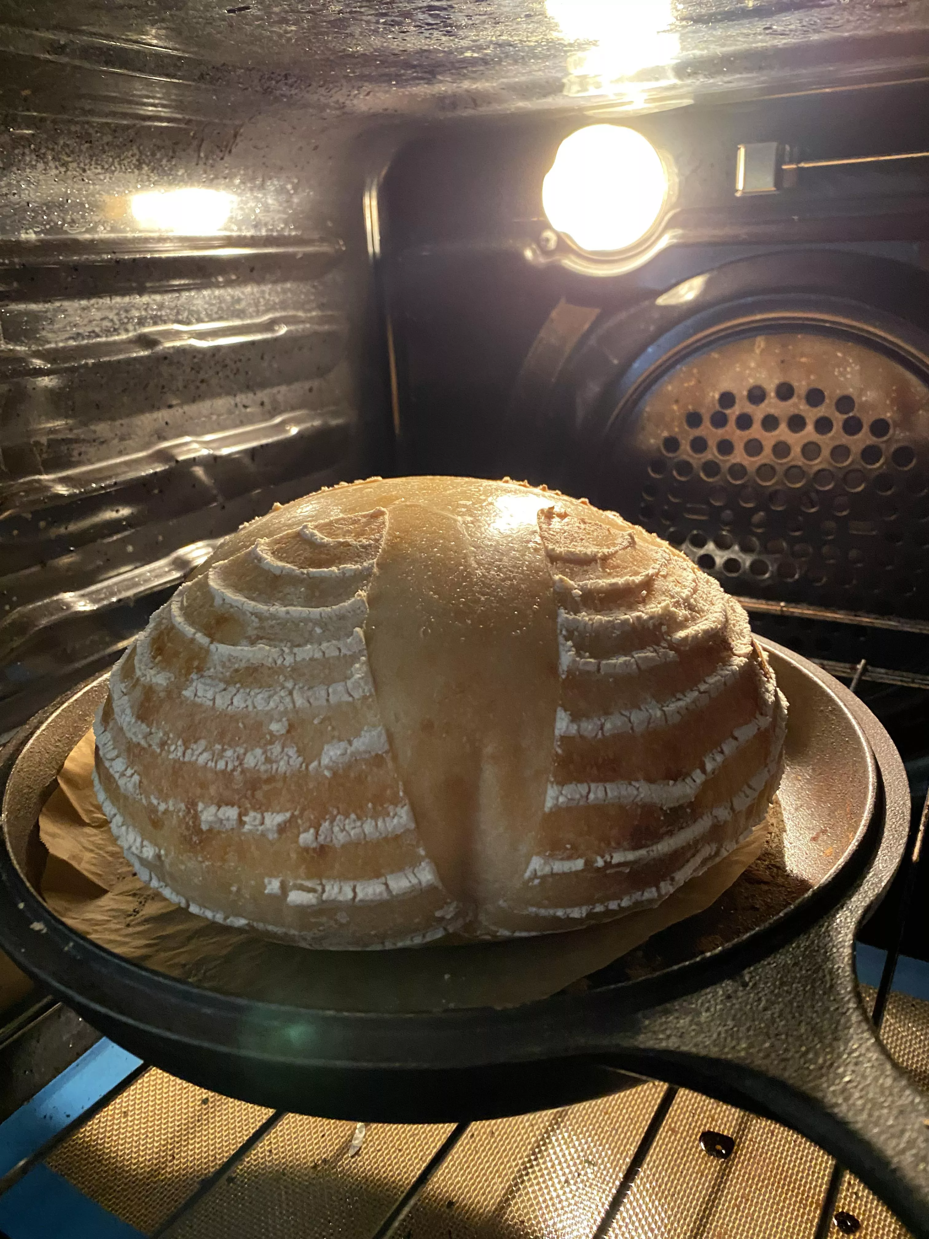 My little loaf is all grown up posted by Insterquiliniis