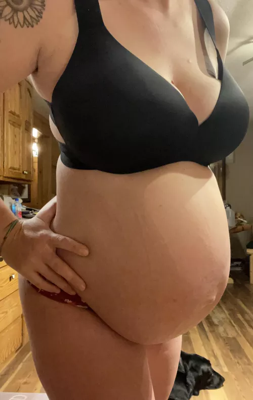 My lovely lady humps! by Ill-Mail8978