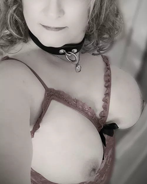 My [M]aster has me double collared [f]or day and night. He wants to be sure it's known my ass and pussy are his. by kinkyropekitty