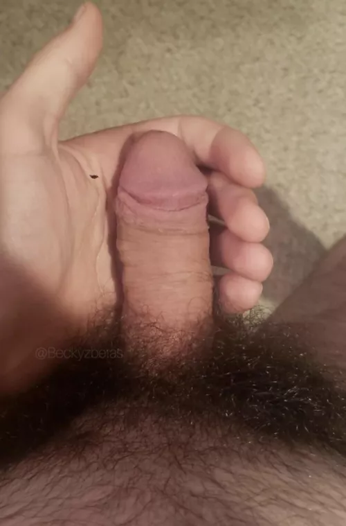 My mistress says I will look good in a pair of panties ..what do u think ? by Beckyzbetas