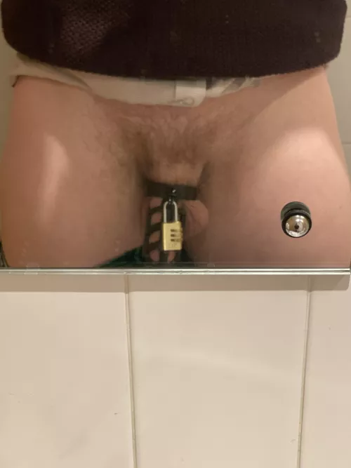 My mistress wants me to suck cock tonight …. North London by Ok_Flounder_7009