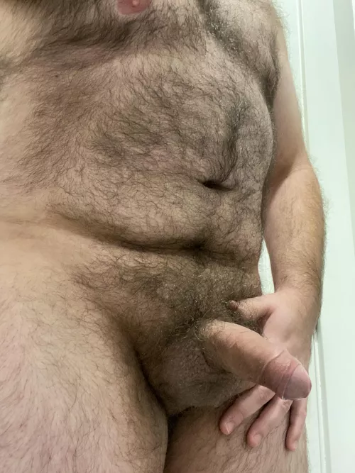 My morning bear cock. 🐻🍆 by beardnhairy