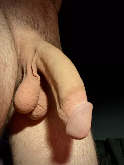 My morning semi by VitisViniferaVine