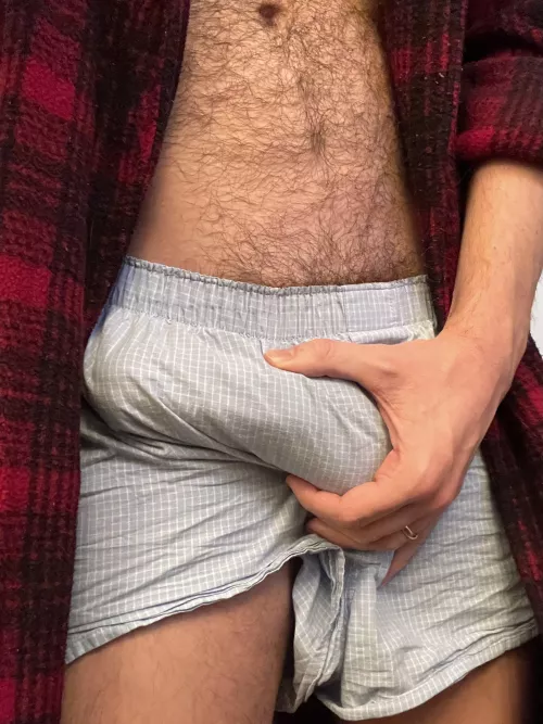 My morning wood all wrapped up for you by grapefruit-slice