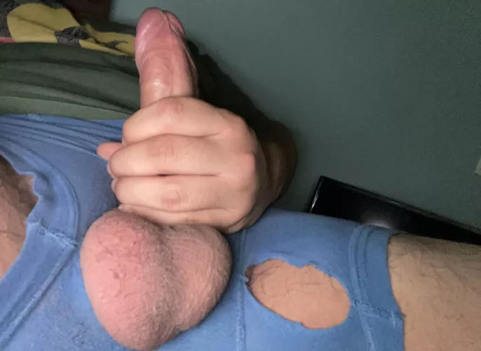 [m]y morning wood caused my boxers to rip by seekM93