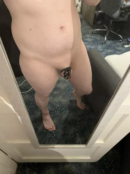 My new cage! You think it suits me ?🥺 by Bitter-Exam9976