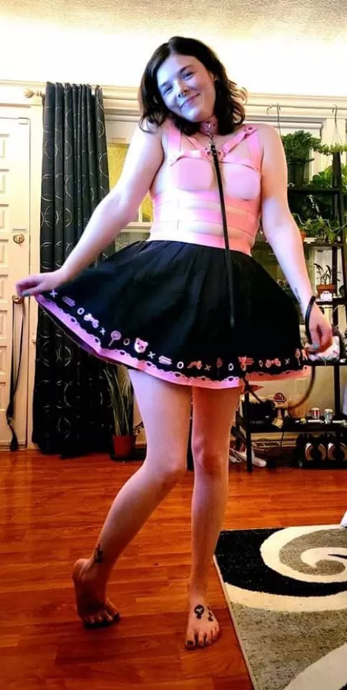 My new dress matches my collar! 😻 by basssaladtaters