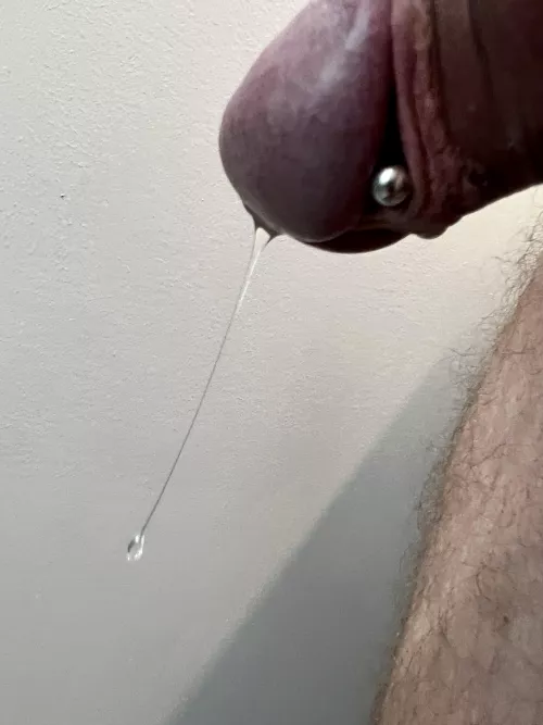 My new frenum piercing makes everything more sensitive! by mradriangray