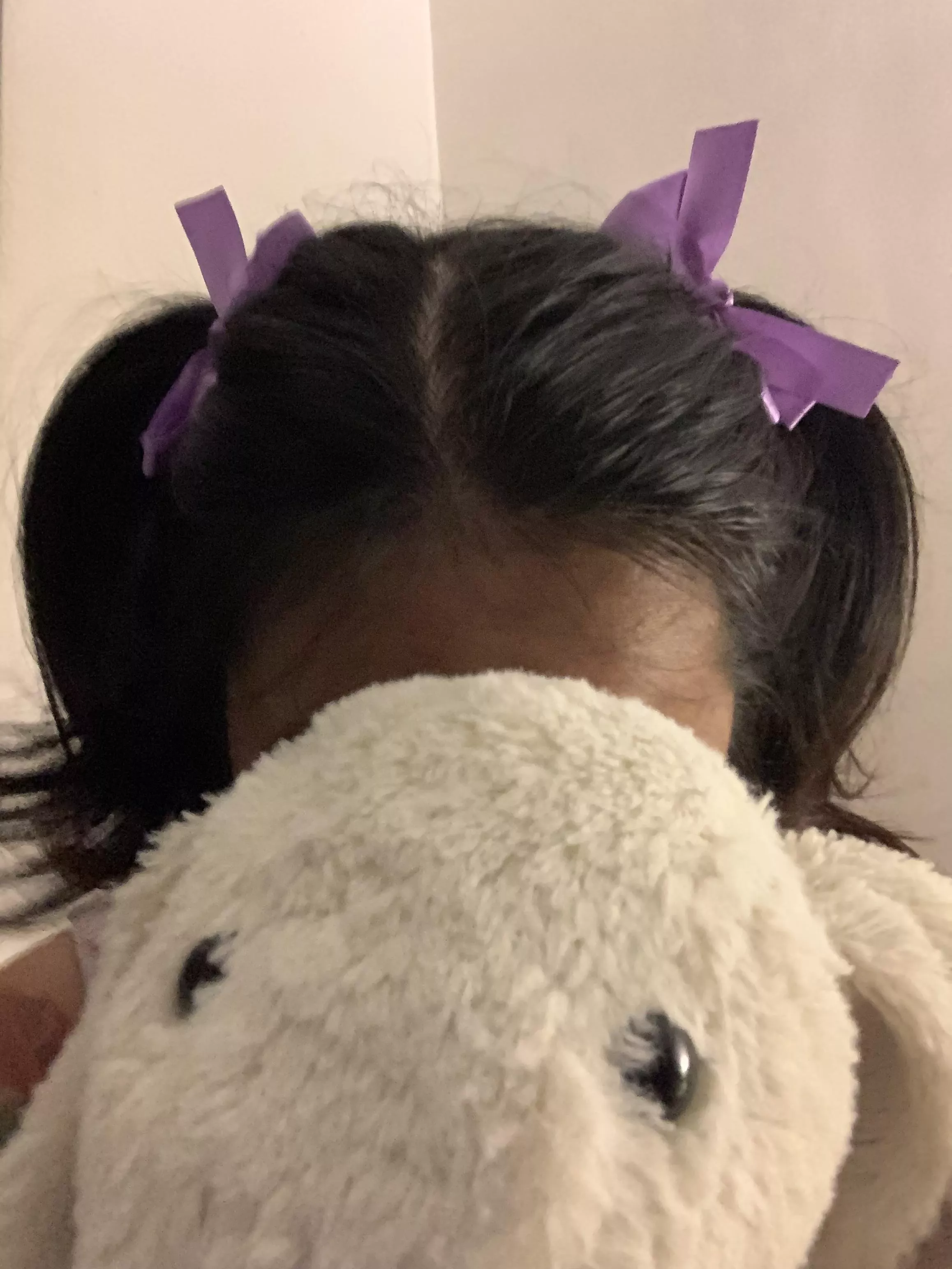 My new hair ties with ribbons! Love em 🎀💜 posted by littlecreampuff_