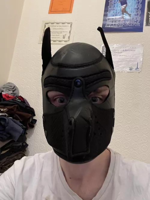 My new pup hood by Ok_Whole37