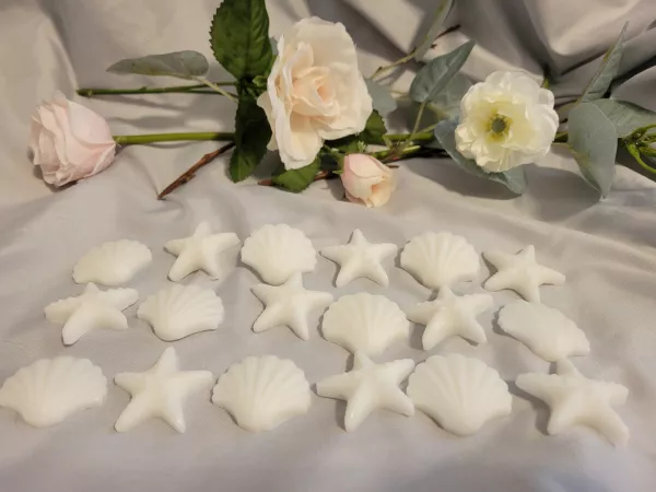 My new sea Shell wax melts by Squid-_-2