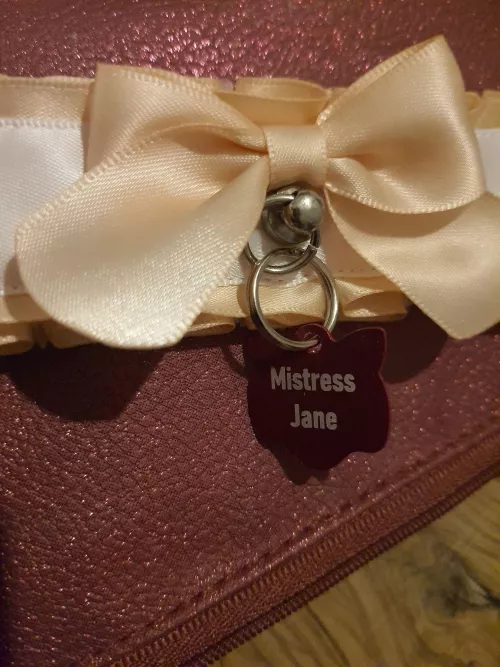 My new sissy collar by goddessjane123