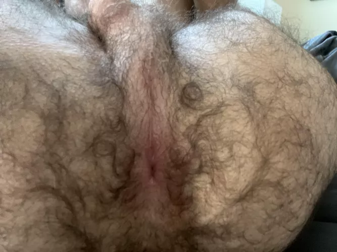 My otter ass by nostromo1803