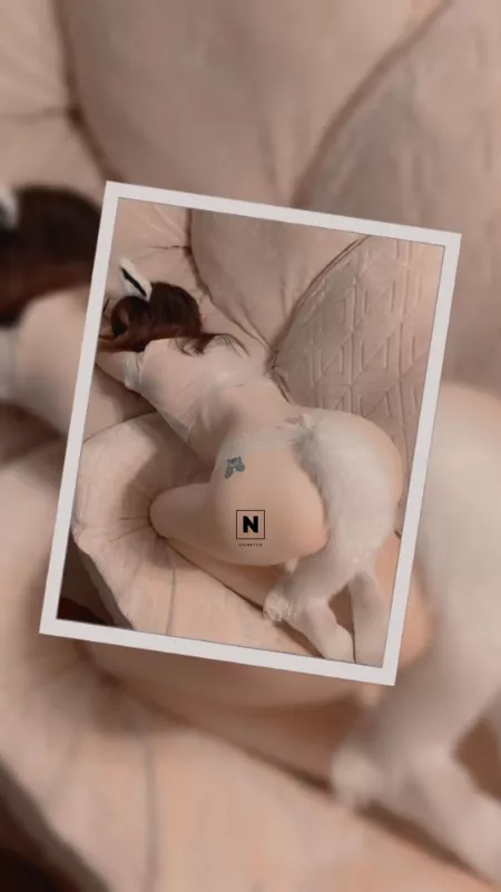 My Paws Are Filthy =0.0= by LilNatiia