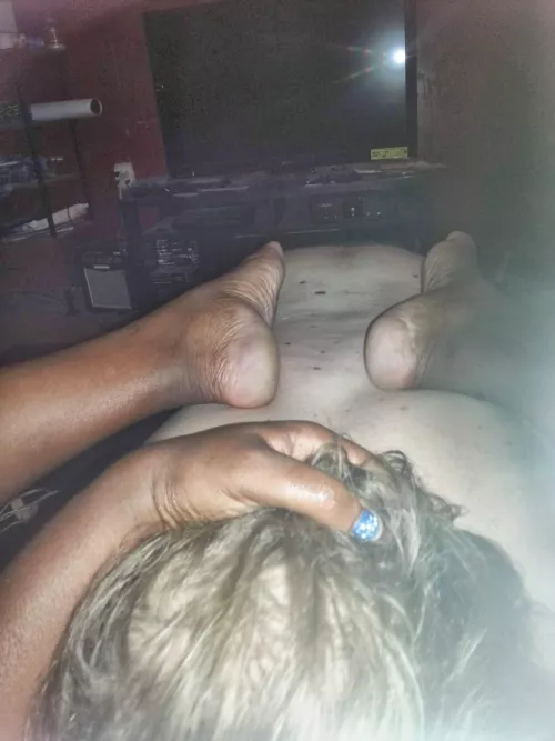 My pet by NoReputation7044