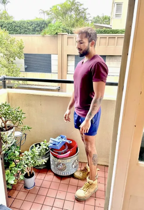 My plants tho by lauricandre11