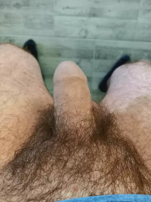 My POV 🌳 by gaygroove