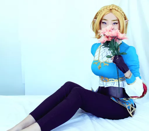 My Princess Zelda Cosplay by celinechats