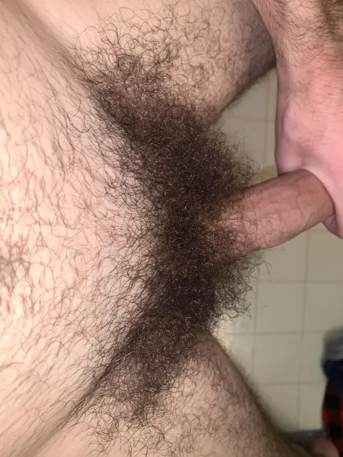 my pubes looking good today by gxyxcix