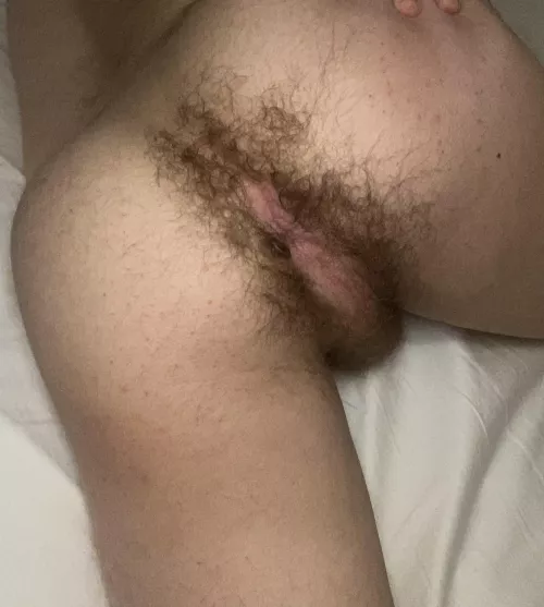 My raw hairy hole (19) by Josh_hairybottom421