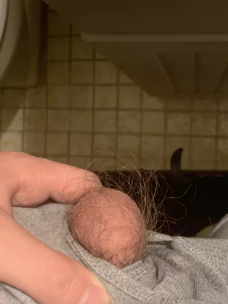 My right nut 🥜 by Blue_ghost2