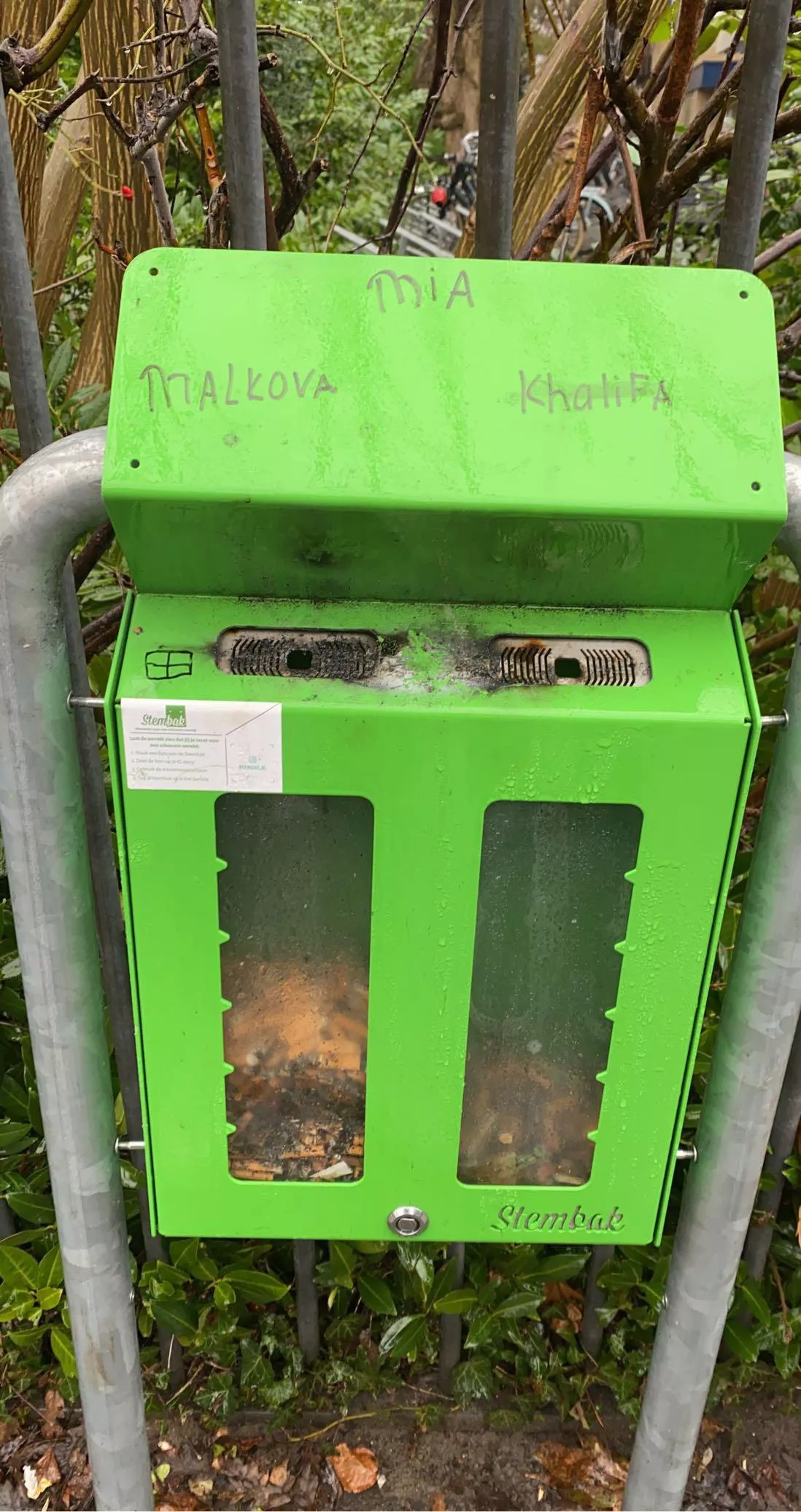 My school hosted a voting event. I think it’s safe to say Malkova won. posted by Kidsintheclub