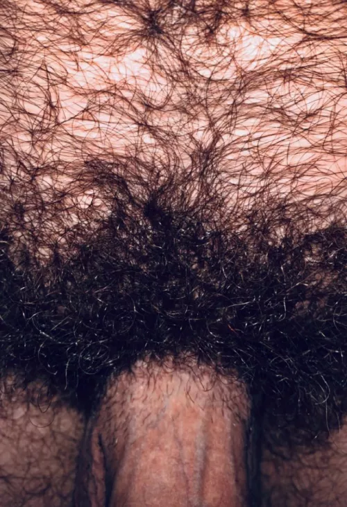 My shaft needs another shave. by jerseyjaxoff