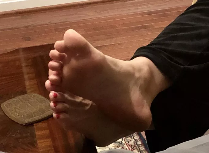 My SIL stopped over last night by mcsolemates