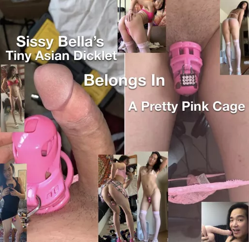 My Sissy Bella knows her place… by Mastersissytrainer