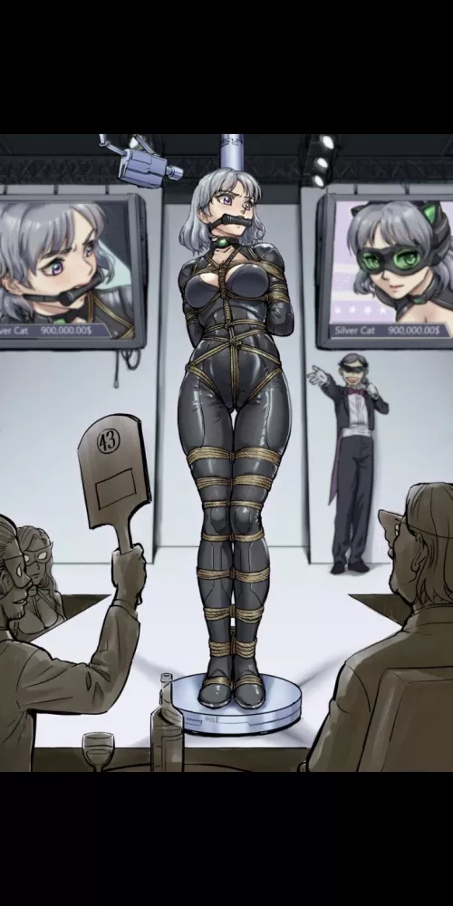 My sister is a superhero named Silver Cat who fights against the World Crime Organization (WCO),my sister was captured by WCO due to an intelligence mistake on my part,now WCO wants to sell my sister as a slave in an auction,My sister's base price is $  by Anxious_Bridge_5327