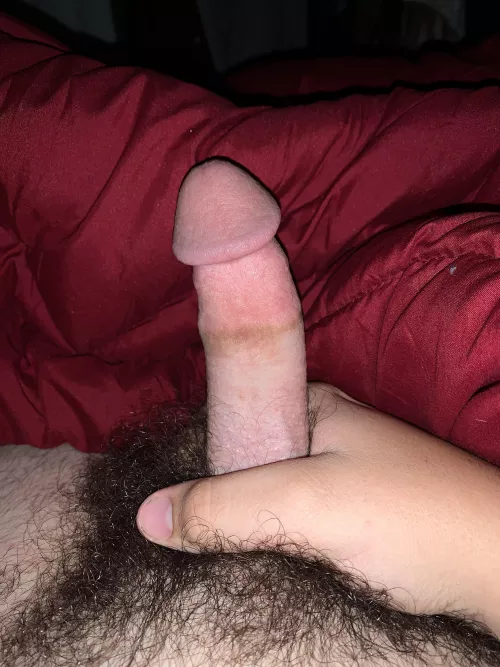 My small dick [18] by Horny-Swordfish1149