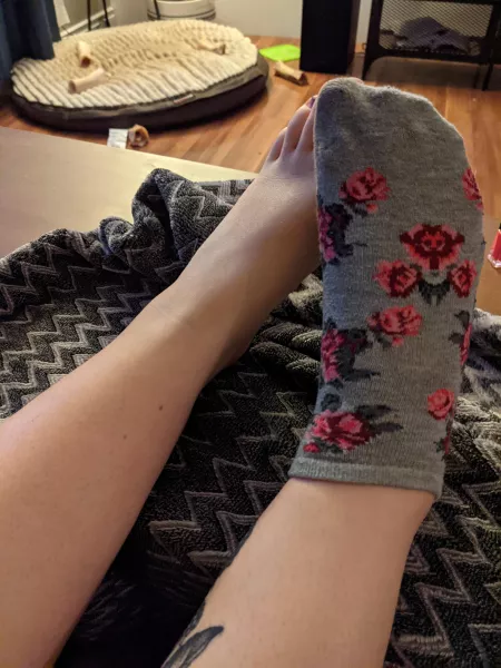 My sock drawer is getting full. How about you help me out. DM for prices by CanadianCouple11