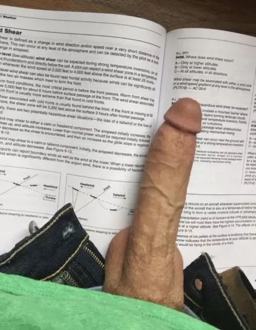 My study buddy is always distracting me … 🙈 by DaddyEnzo