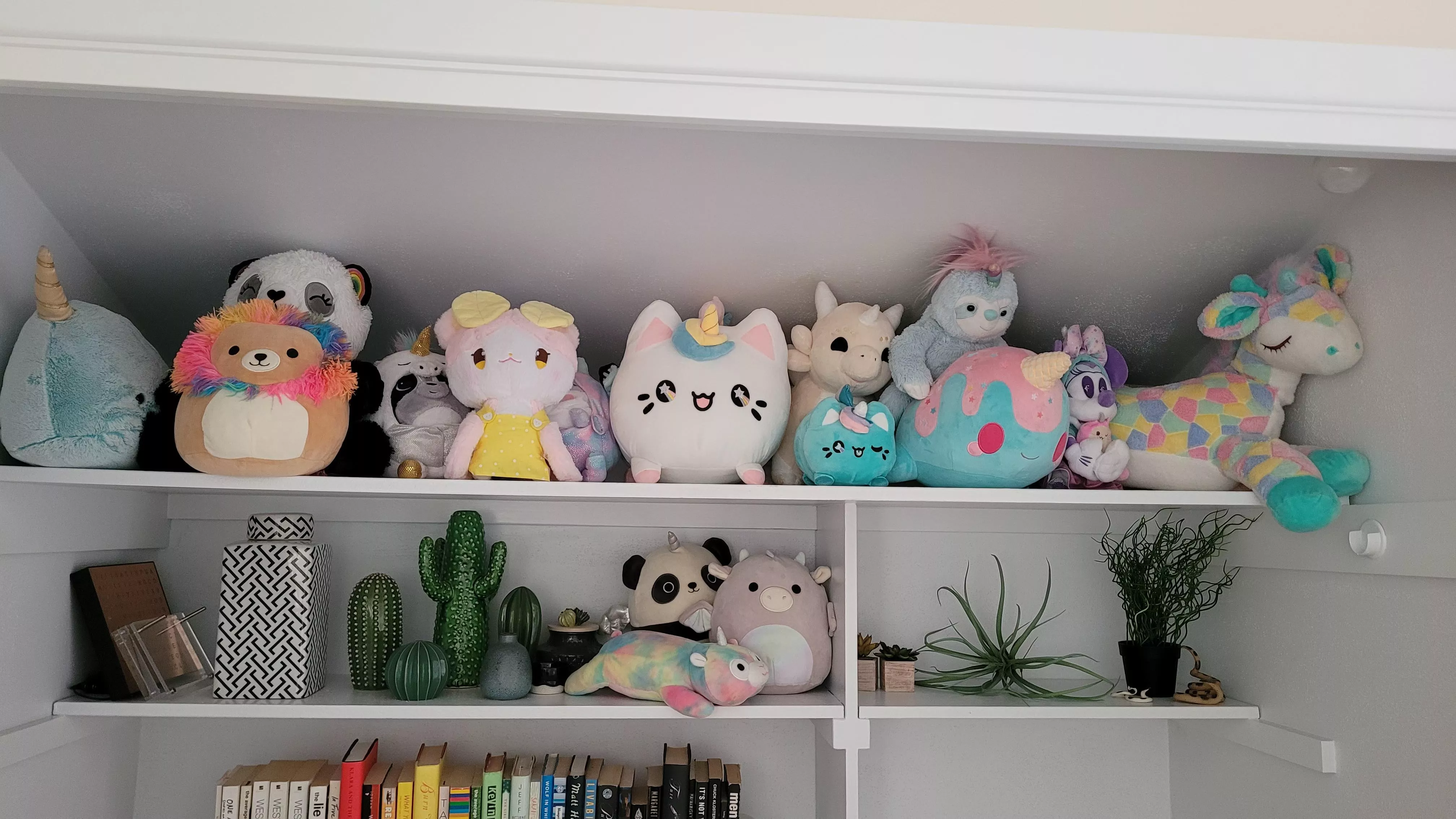 My stuffies have a cute shelf to hang out on 🥰 posted by firehairedwitch
