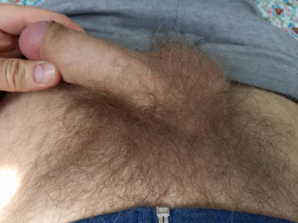 My super long blonde pubes by PenisIsMyGod